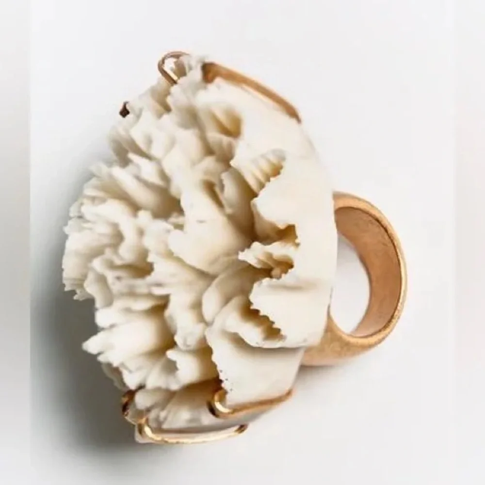 Zara resin chunky
